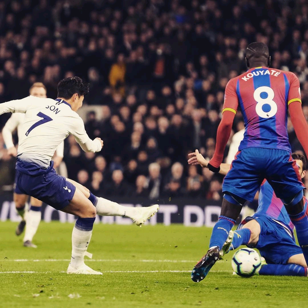 我们也期待 我们也期待